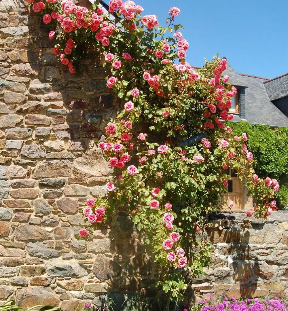 Hébergement de vacances Villa Les Longeres Du Trieux à Lézardrieux